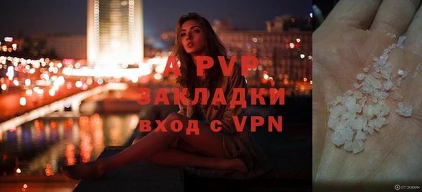 прущие грибы Кинешма