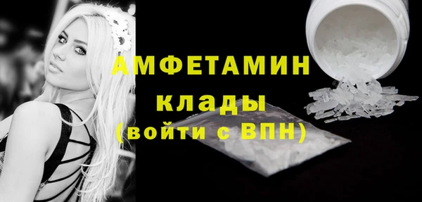 прущие грибы Кинешма