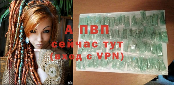 прущие грибы Кинешма