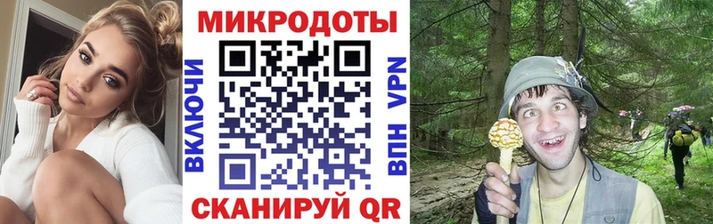 Псилоцибиновые грибы GOLDEN TEACHER  Купить закладки  Богданович 