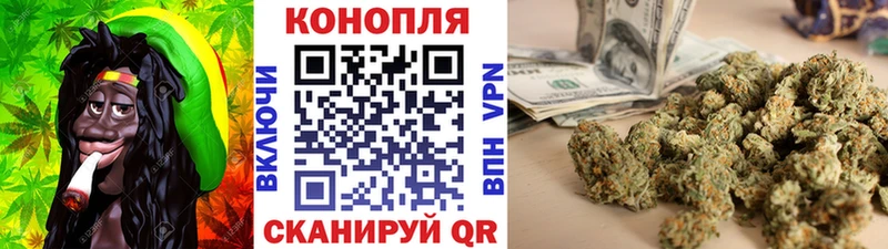 Купить где  Богданович  Шишки марихуана план 